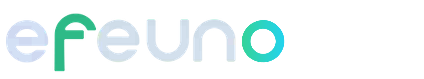 Formación Odoo impartida por Efeuno