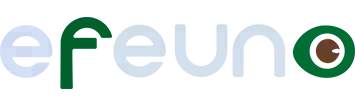 EFEUNO - Servicios IT